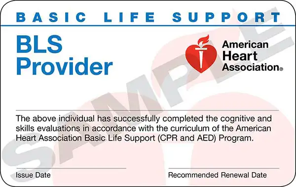American Heart Association BLS Provider certification card