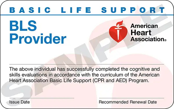 American Heart Association BLS Provider certification card